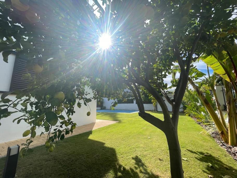 Sunset Villa Arcos Аркос де ла Фронтера Экстерьер фото
